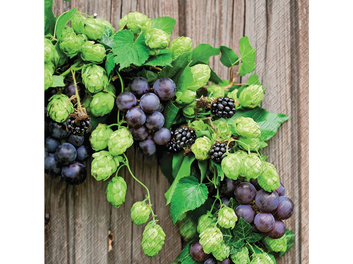 STEWO Salviette Benedikt 33x33cm 2572607745 verde 20 Stück (7630050812921)