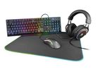 DELTACO 4-in-1 gaming Gear Kit RGB GAM-084-CH black (7333048048028)