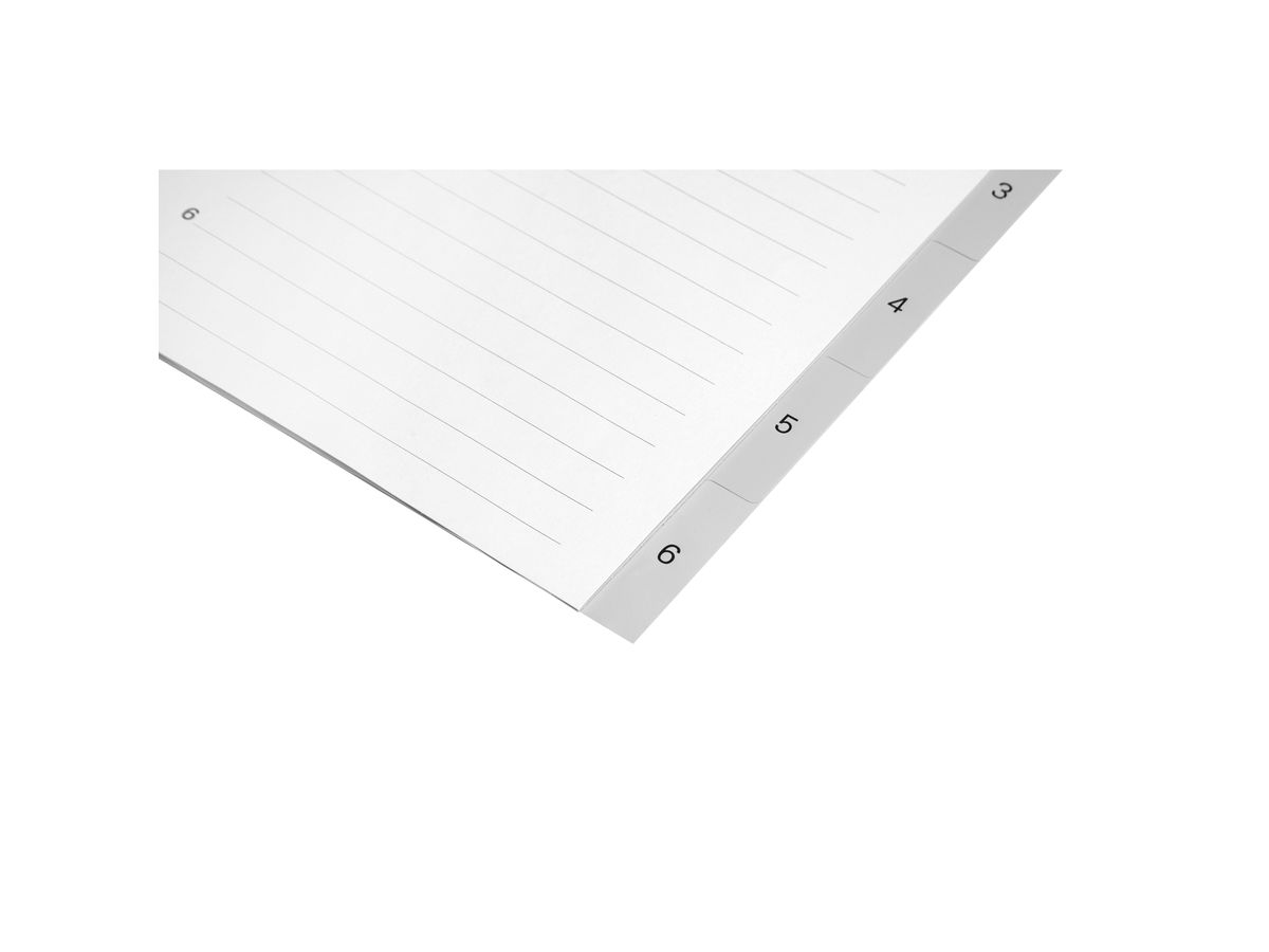 BIELLA Register PP A4 47140600U grau 1-6 (7611365255672)