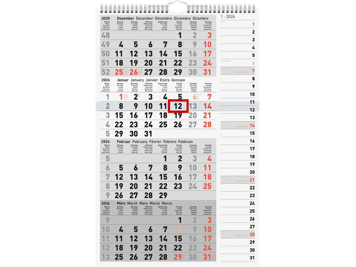 RIDOIDE 4-Monats-Kombiplaner 2026 7033430006.26 4M/1S 30x49cm (4003273791169)