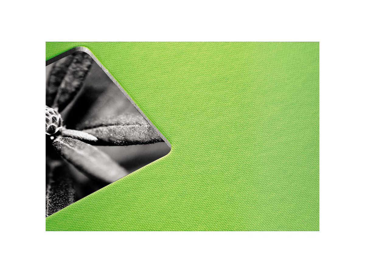 HAMA Album Fine Art 24x17cm 2114 kiwi 25 pages, blanc (4007249021144)