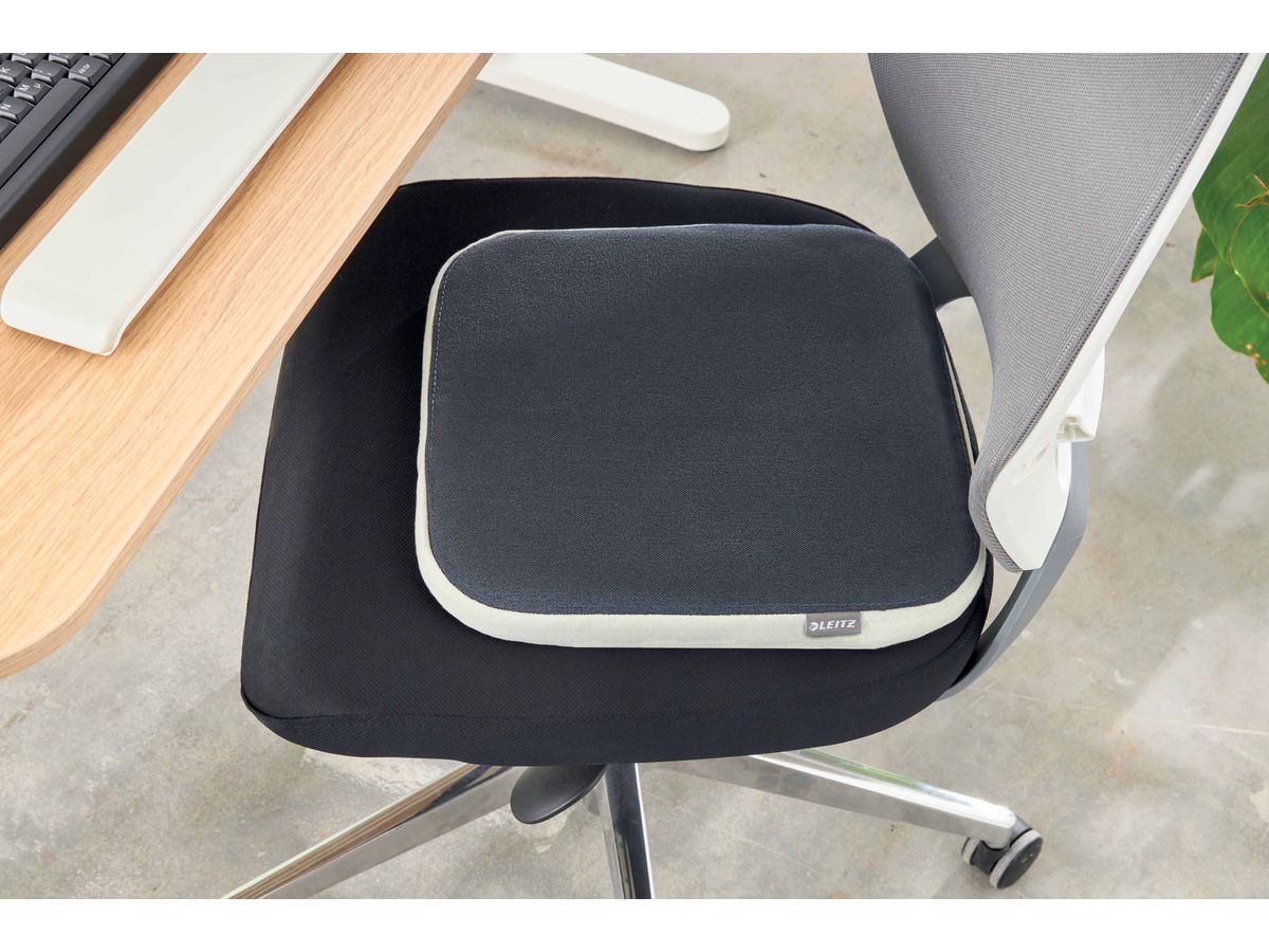 LEITZ Sitzkissen Ergo Active 6540-00-89 samtgrau mit Stoffbezug (4002432134731)