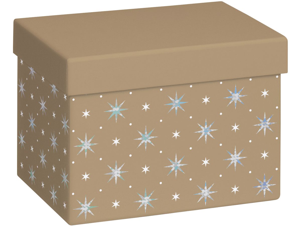 STEWO Geschenkbox Zidonia 2551511596 gold 12x16.5x12cm (7630050888957)