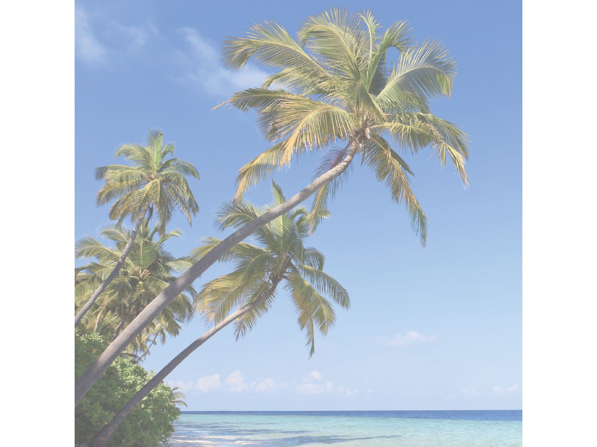 SIGEL Sottomano 595x410mm HO470 carta calendario, 3 anni (4004360841323)