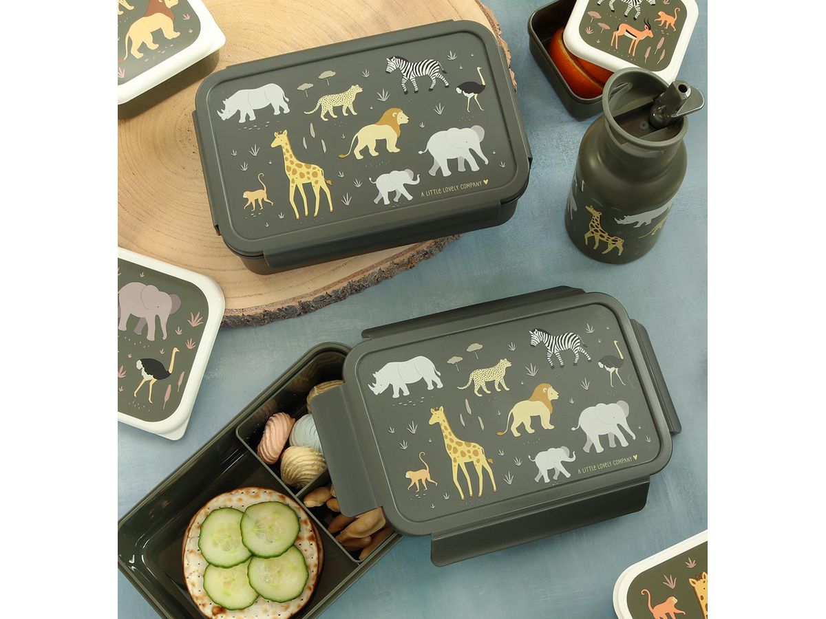 ALLC Lunch Box 22x7x14.5cm BBSAGR65 Savanne (8719715003542)