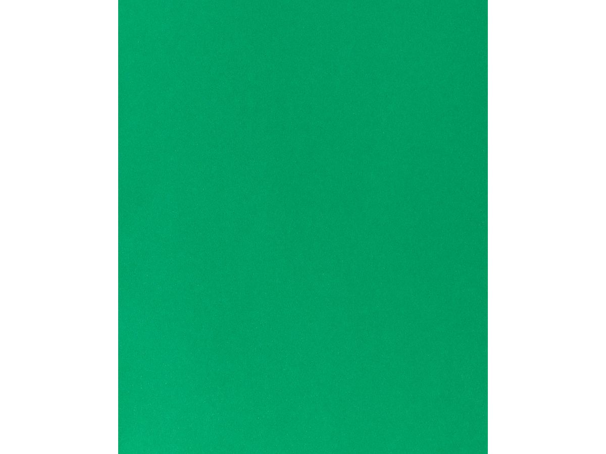 I AM CREATIVE Carton photo A4 2903018327 270g, vert sapin (8714677254599)