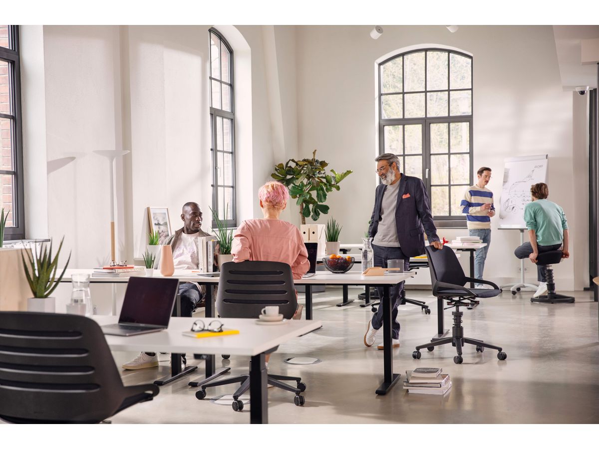 AERIS Sedia da ufficio Numo Task 962WRSTBKCU9 viola/nero (4251814307946)