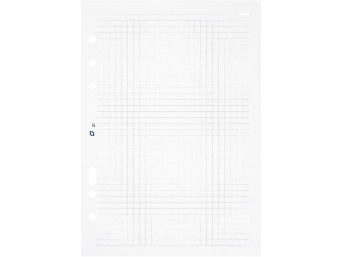 SUCCES Agenda A5 Notizpapier 84700500U kariert weiss 14.8x21cm (8712254009594)