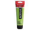 AMSTERDAM Peinture acrylique 120ml 17096172 jaune/vert 617 (8712079211059)