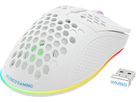 DELTACO Lightweight Gaming Mouse,RGB GAM-120-W Wireless, White, WM80 (7333048050618)