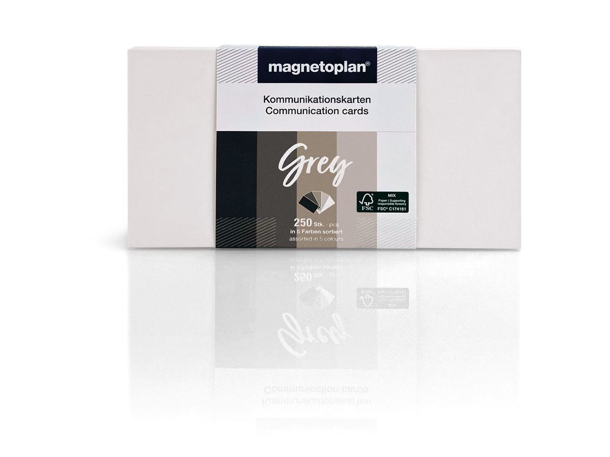 MAGNETOPLAN Schede comunicazione 20x10cm 112501570 Set Grey, ass. 250pz. (4013695067018)