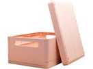 EXACOMPTA Box pieghevole Skandi A4+ 27231D Maxi rosa chiaro 375x40x275mm (9002493272316)