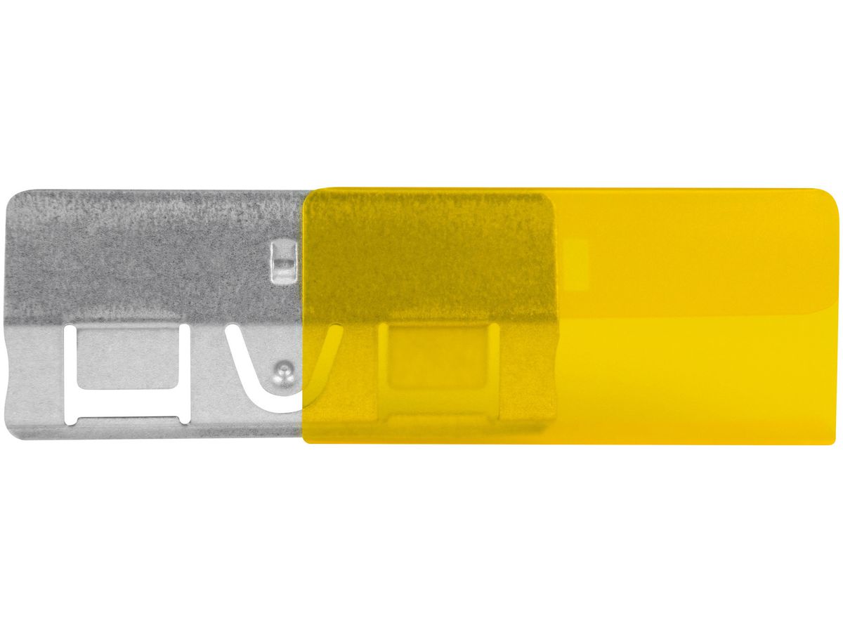 BIELLA Custodie trasparente 60x30cm 27360220U giallo 25 pez. (7611365219087)