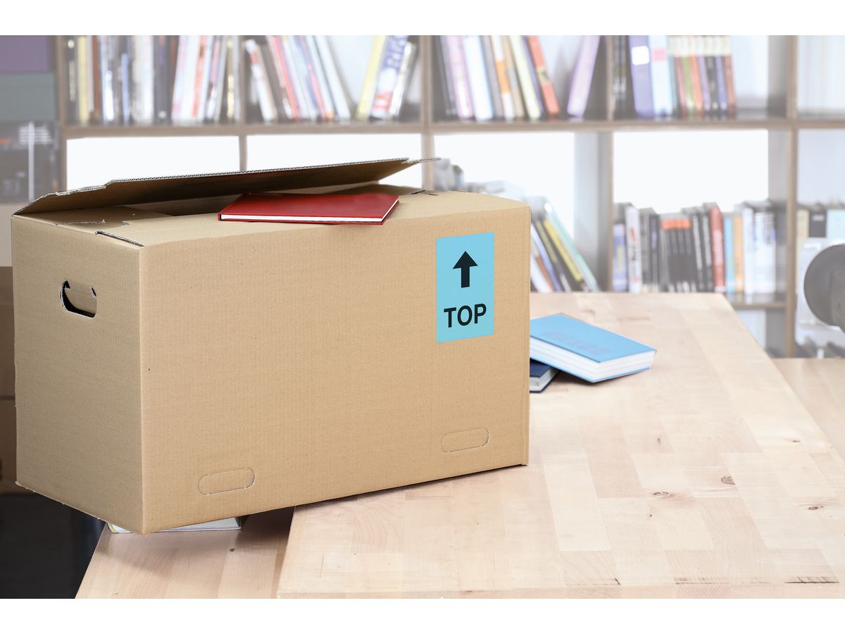 HERMA Étiquettes SPECIAL 105x148mm 4563 bleu,non-perm. 80pcs./20flls. (4008705045636)