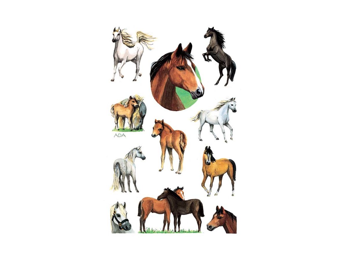 Z-DESIGN Sticker Kids 53483 Motivo 2 pezzi (4004182534830)