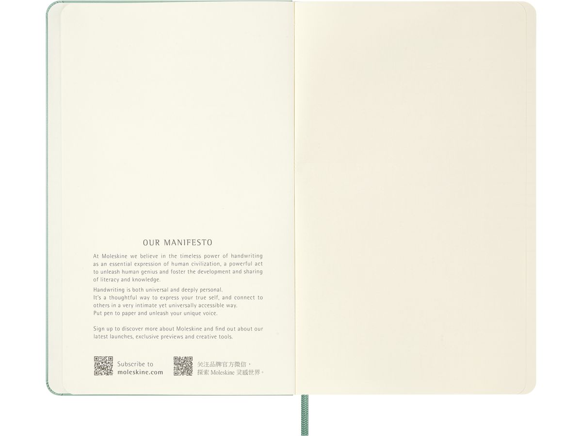 MOLESKINE Carnet Classic L/A5 711512723 blanco vert sauge (8056711512723)