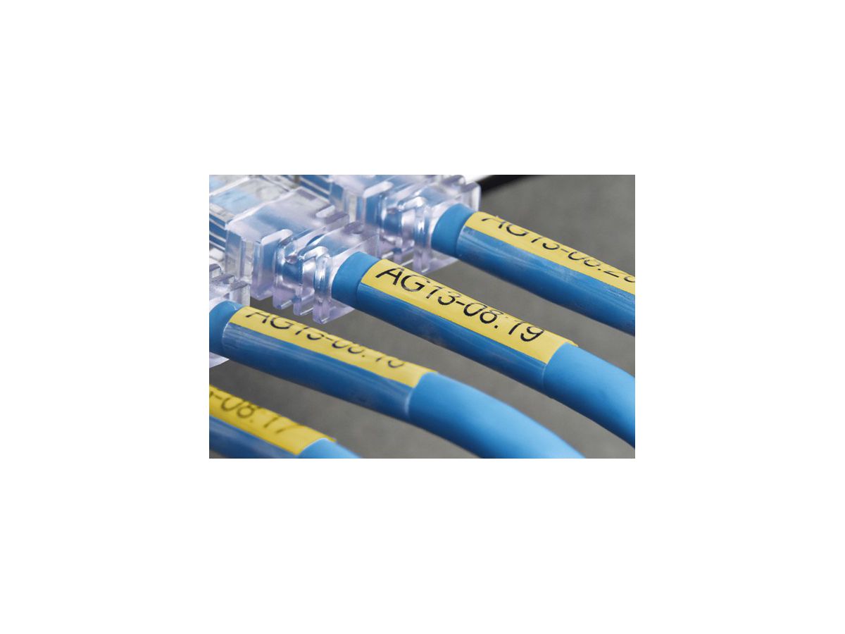 PTOUCH Ruban auto laminant noir/jaune TZE-SL661 PT-D800W/D900W 36mm (4977766806466)