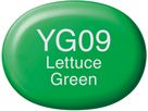 COPIC Marker Sketch 21075198 YG09 - Lettuce Green (4511338007341)