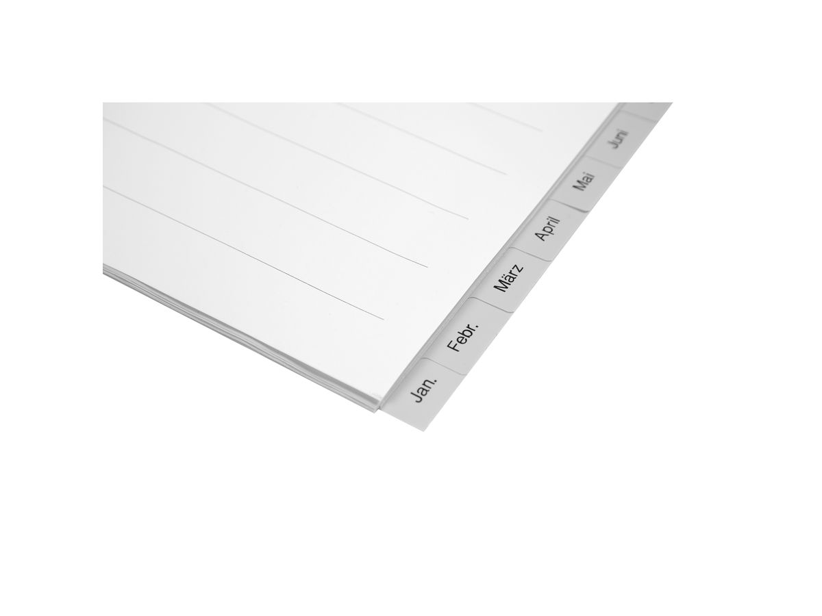 BIELLA Register PP A4 47141490U grau Dez-Jan DE (7611365259212)