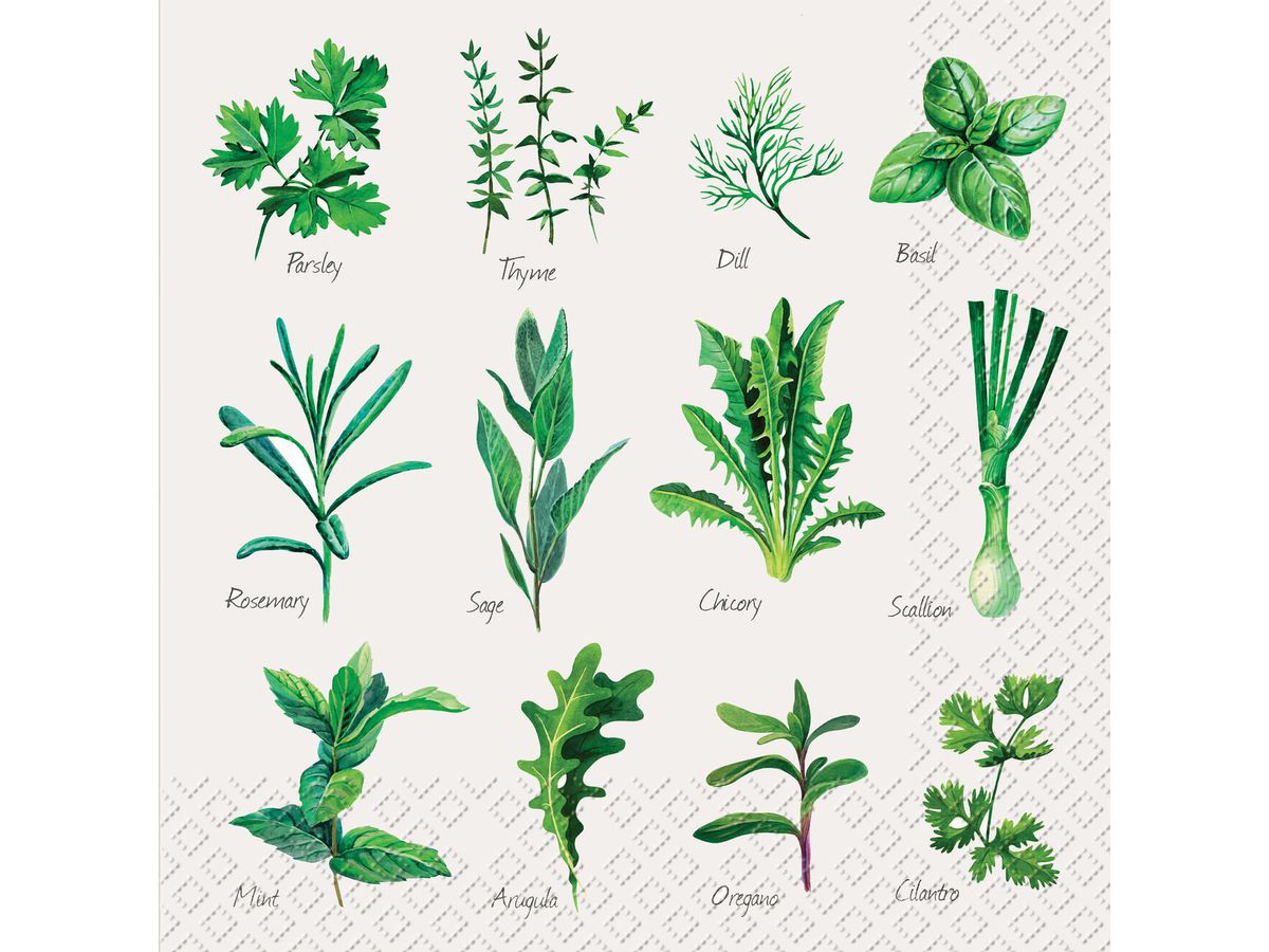 STEWO Salviette Herb 33x33cm 2572598745 verde 20 pezzi (7630050821008)