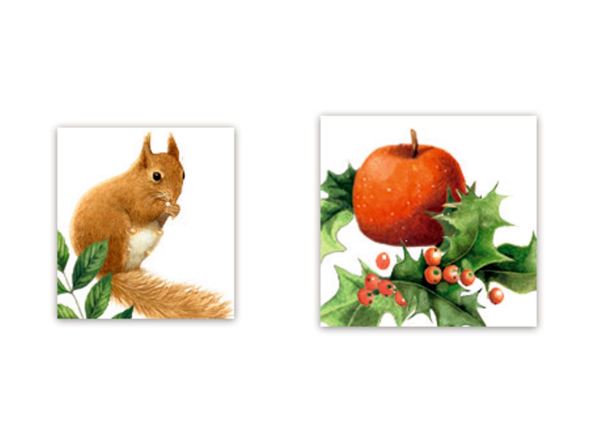 COPPENRATH A5 Adventskalender 95283 Zauber der Winternatur (4050003952833)