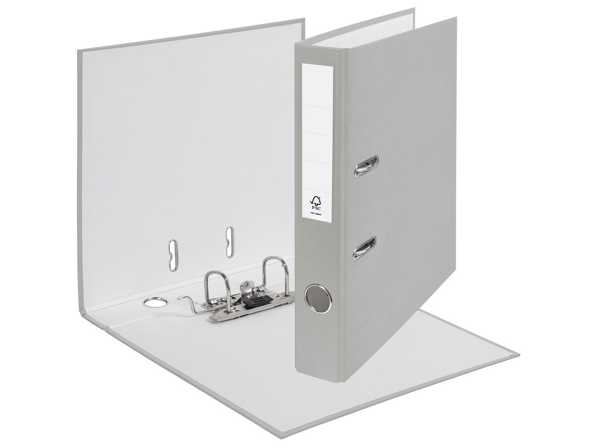 ESSELTE Ordner CH Standard 5cm 624554 grau A4 (4049793044620)
