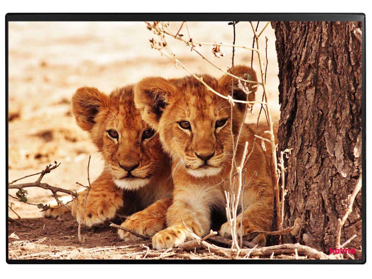 KOLMA Schreibunterlage 35.550.20 Löwe 50x34cm (7611967350423)