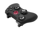 SPEEDLINK RAIT Gamepad wireless SL-650110-BK PC/PS3/Switch black (4027301461732)