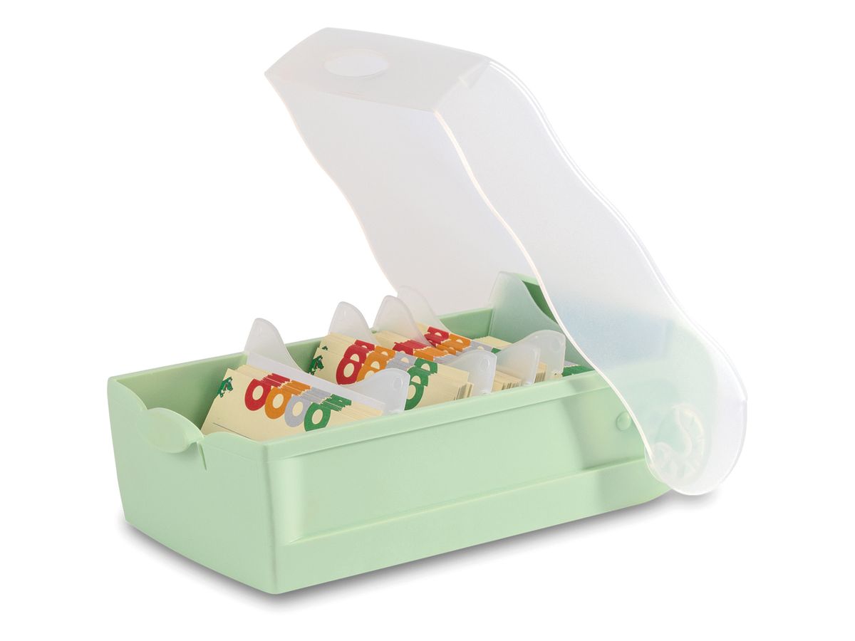 HAN Karteibox Croco A7 997-805 pastellgrün 12.1x8.5x24.6cm (4012473121195)