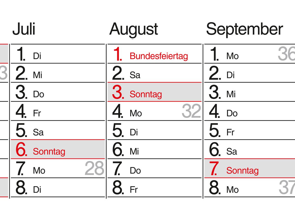BÜHNER Jahresplaner DE 2026 PO13-CH-R-FS 13M 139x79cm (4260256370265)