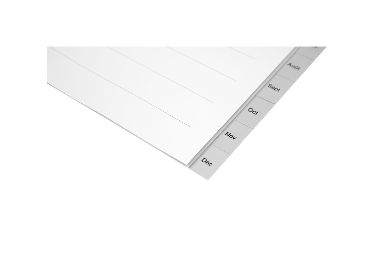 BIELLA Register PP A4 47141391U grau Jan-Déc FR (7611365255733)