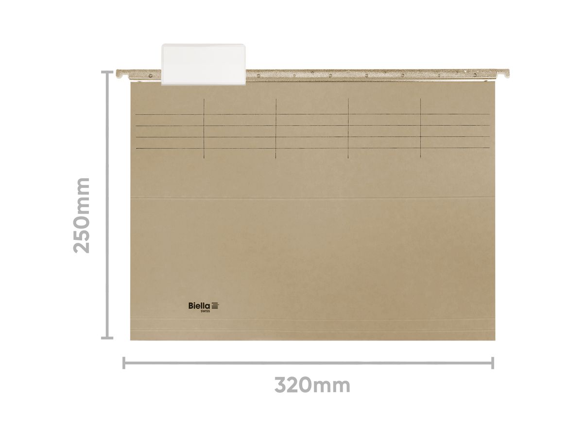 BIELLA Register-Hängemappen-Set A4 27143025U beige 32x25cm 10 Stück (7611365301317)