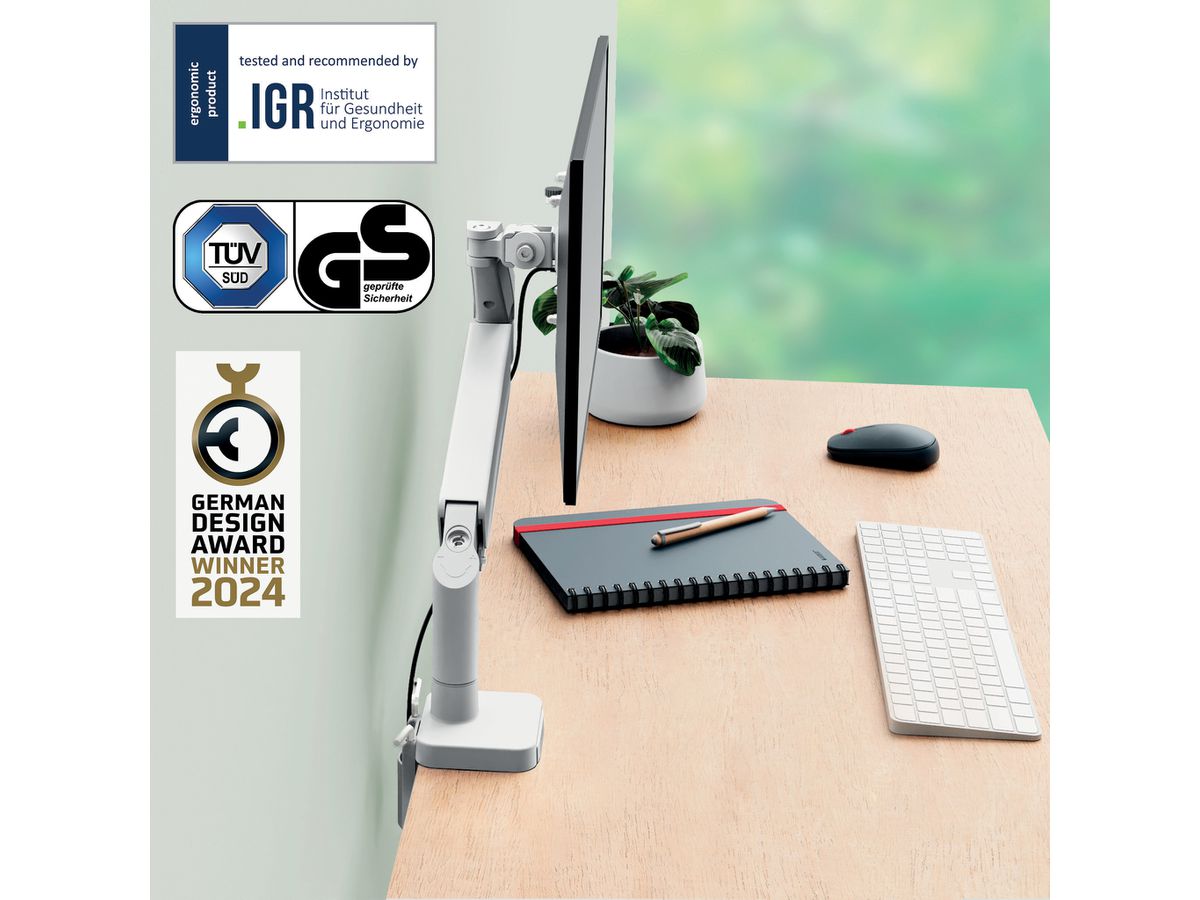 LEITZ Monitorarm Ergo 6489-00-85 Grau, single (4002432134656)