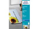 AVERY ZWECKFORM Film autocollant A4 2501 0.17mm inkjet 50 feuilles (4004182025017)