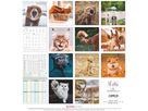 ALPHA EDITION Bildkalender 2026 160630 Funny Animals ML 30x30cm (4069095006300)