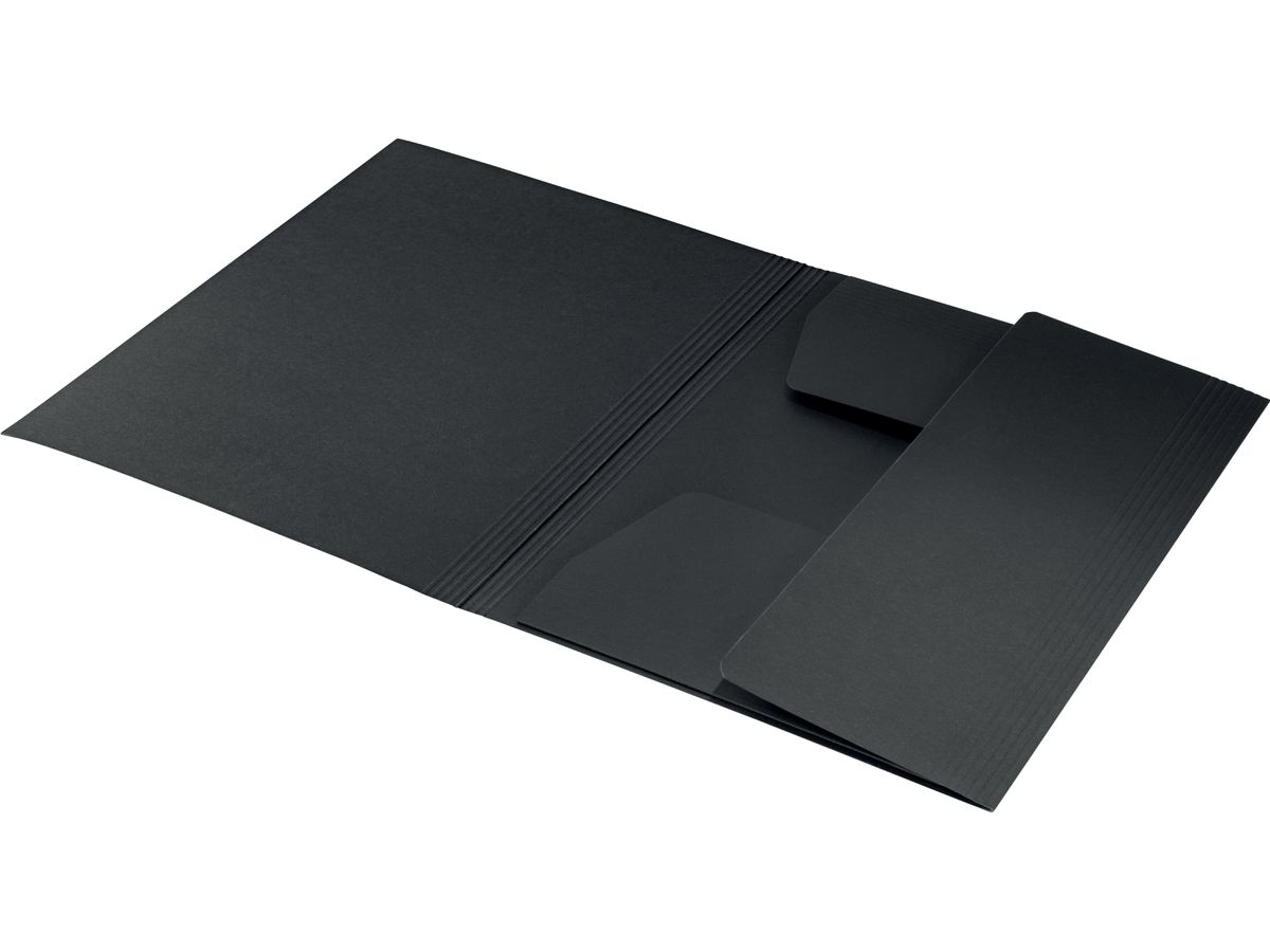 LEITZ Juris Portefeuille Recycle A4 3906-00-95 noir, carton (4002432128044)