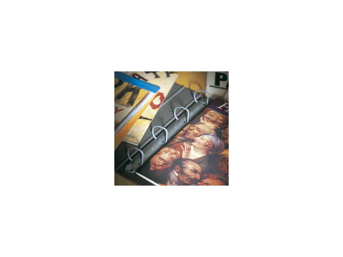 3L Abheftstreifen A4/295mm 8804-50 Universallochung 50 Stück (5701193880459)