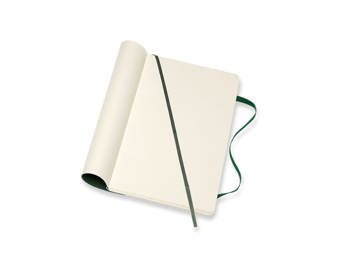 MOLESKINE Taccuino SC L/A5 600028 in bianco, verde, 240 pagine (8053853600028)