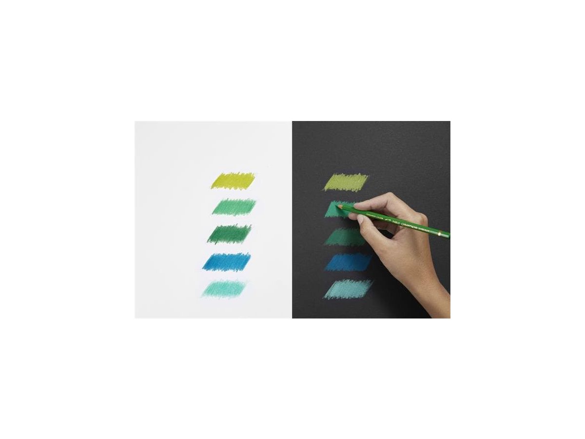 CARAN D'ACHE Farbstifte Pablo 666.318 18 Farben (7610186093180)