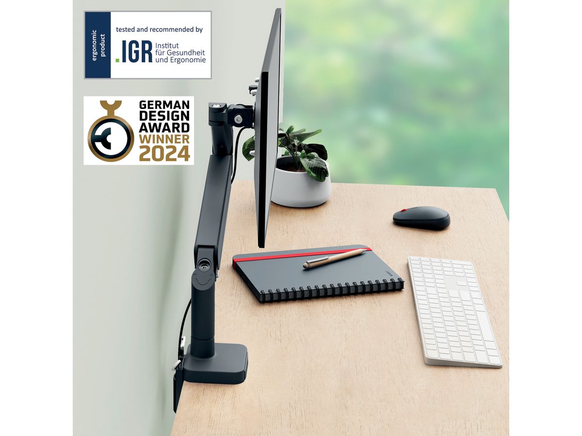 LEITZ Monitorarm ERGO 6489-00-89 grau, single (4002432134663)