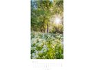 WEINGARTEN Bildkalender 2026 3150200+26 Im Wald DE 33x68cm (9783839902189)