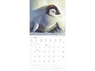 ALPHA EDITION Bildkalender 2026 160341 Tierbabys ML 30x30cm (4069095003415)