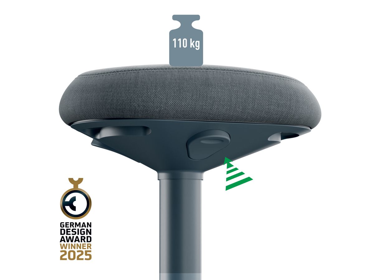 LEITZ Sgabello Ergo Activ 6544-00-89 grigio (4002432138418)