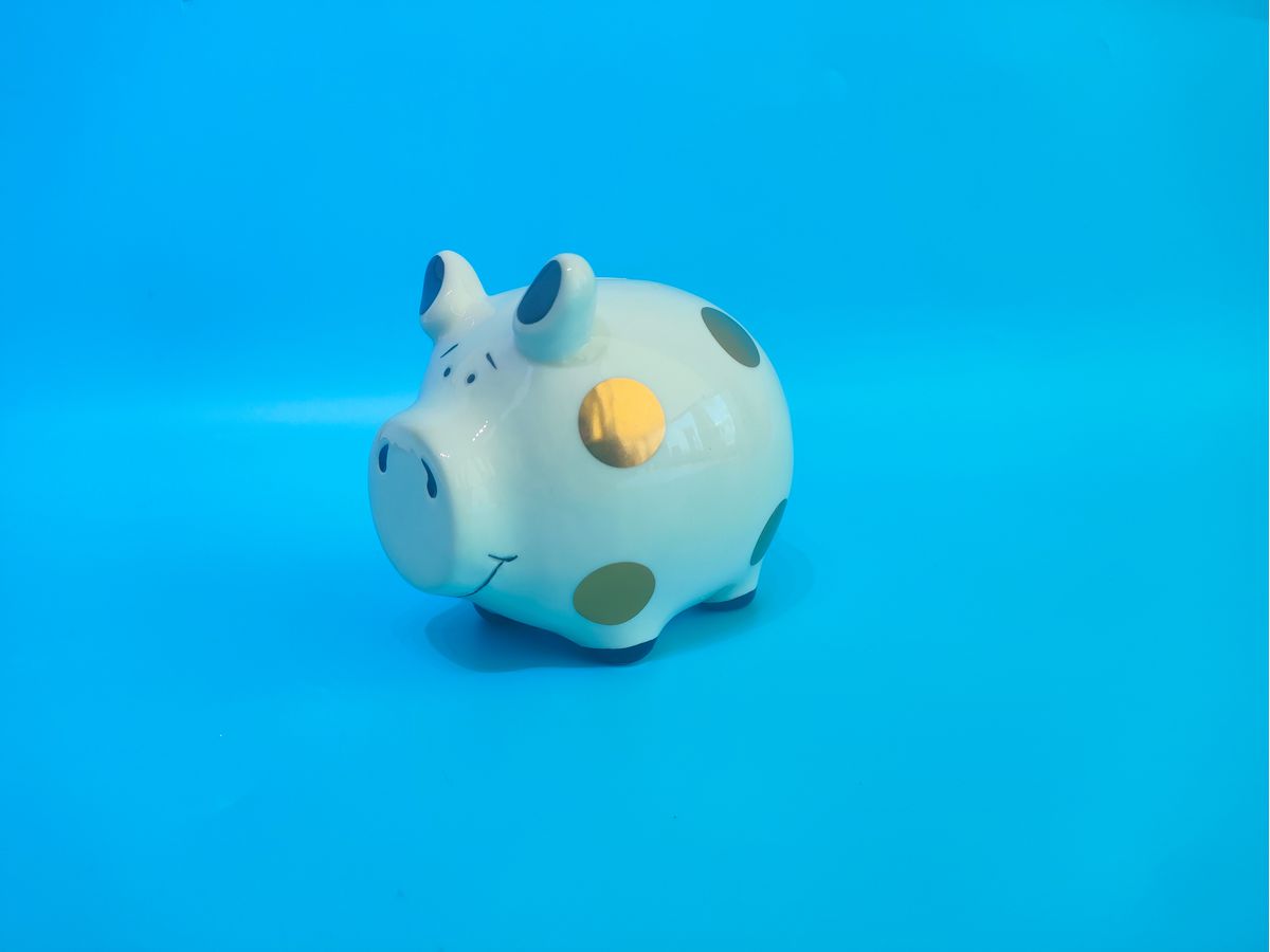 ROOST Sparkasse 11.5x8.5x10.5cm TG240705 Schwein (7613532080919)