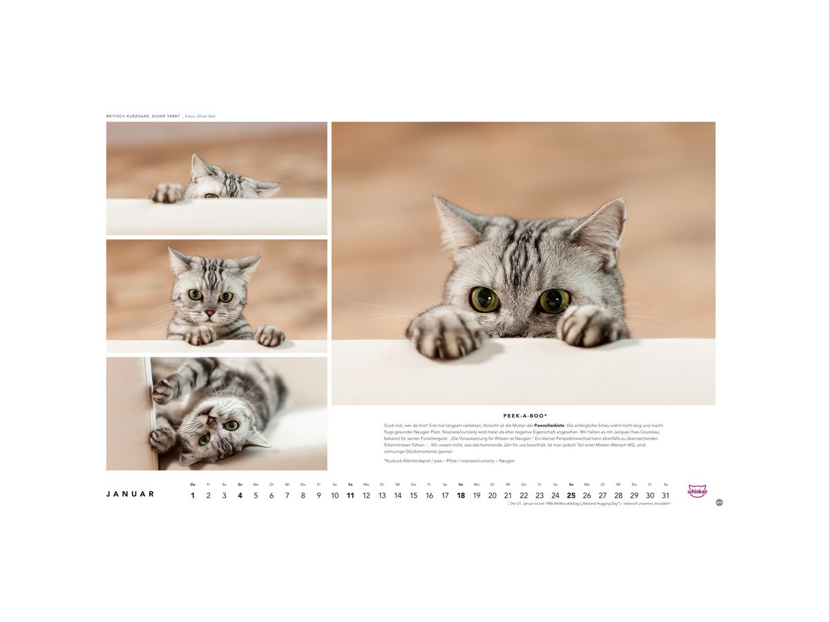 HEYE Calendario 2026 1130+26 Gatti Whiskas TE 45x30cm (9783756413119)