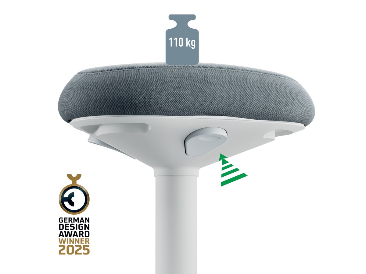 LEITZ Sgabello Ergo Activ 6545-00-85 grigio chiaro (4002432138425)
