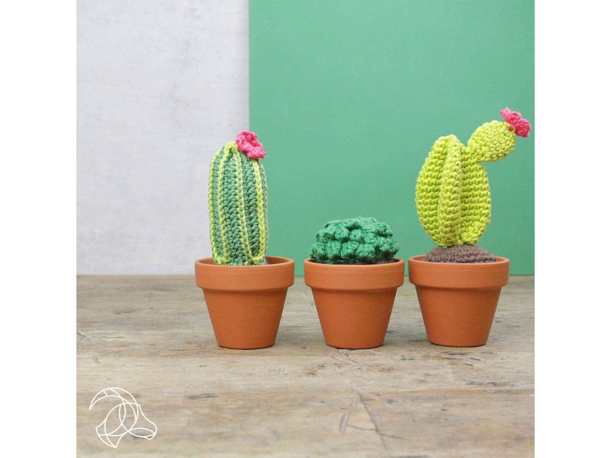 HARDICRAFT Kit de crochet HC-40MB013 Cactus (8719244510009)