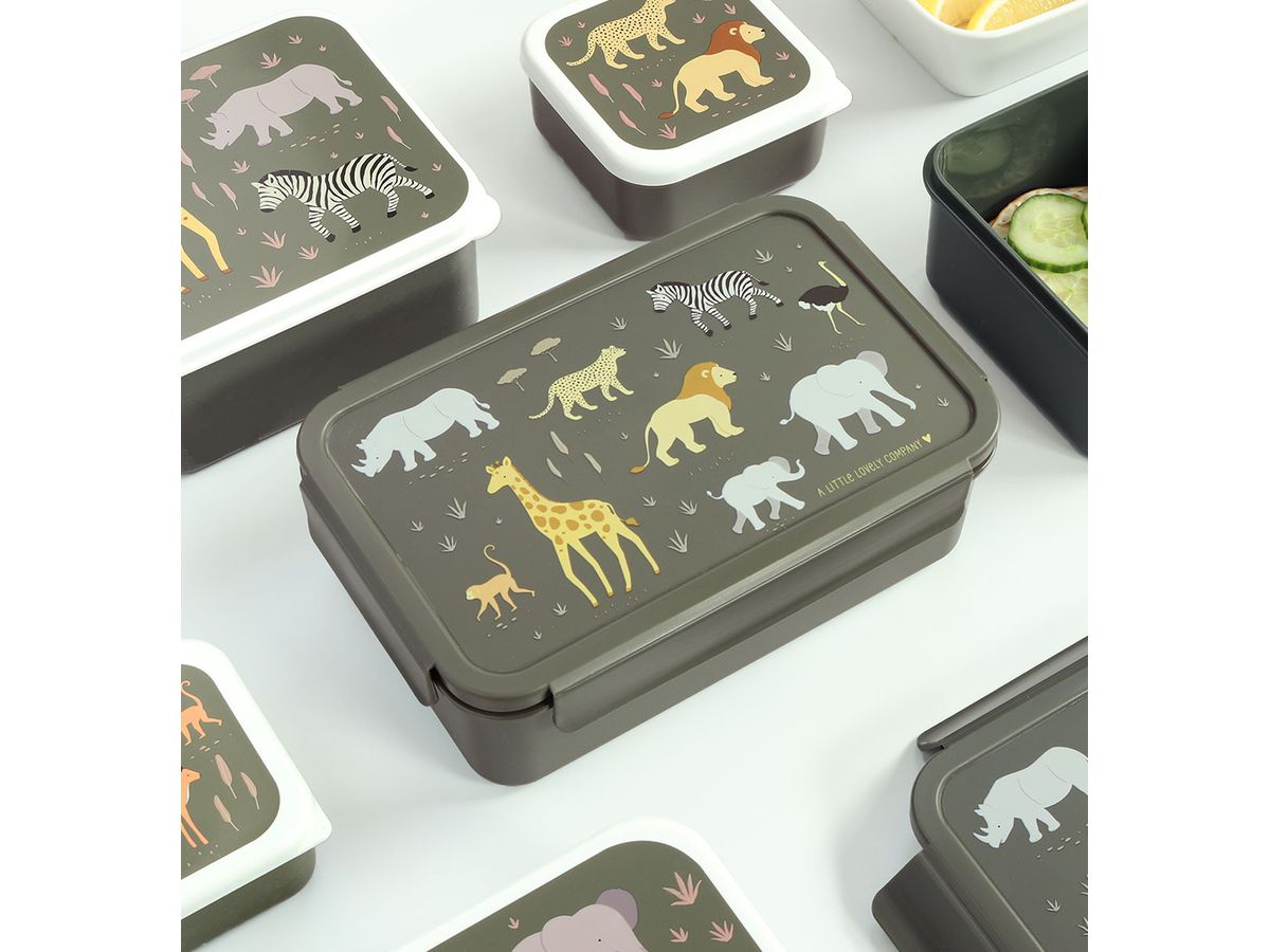 ALLC Lunch Box 22x7x14.5cm BBSAGR65 Savanne (8719715003542)