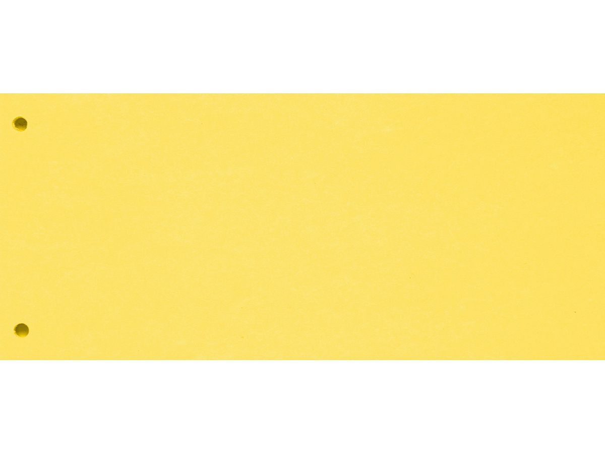 BIELLA Trennstreifen Karton 2 Loch 19919020U gelb, 24x10.5cm 100 Stk. (7611365357437)