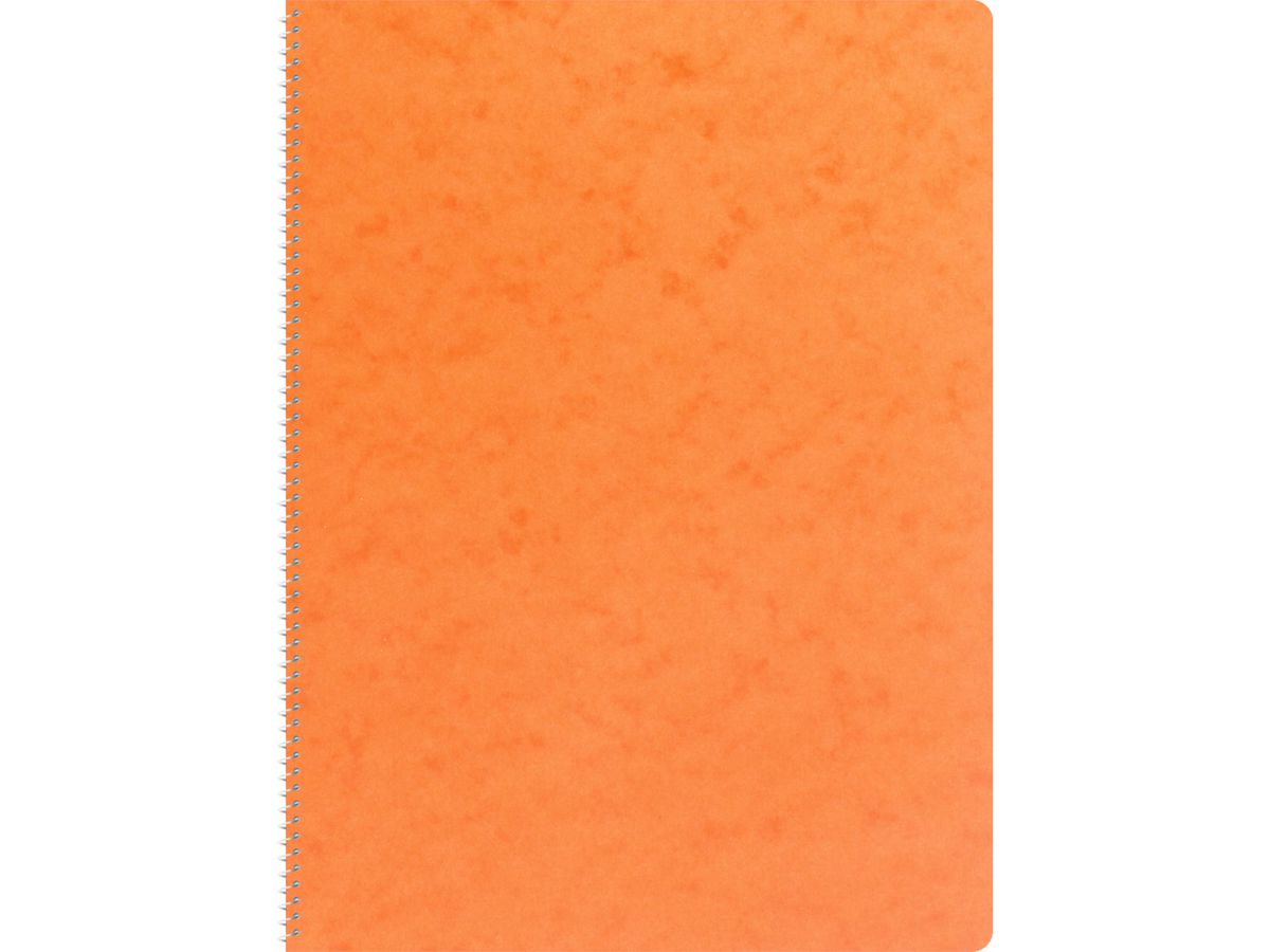 NOVOOO Spiralheft ass. A4 729784 kariert, 5mm, 80g 48 Blatt (9010729086842)